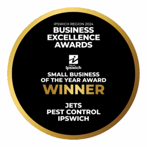 jets pest control ipswich