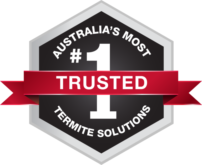 termidor termite barrier ipswich brisbane